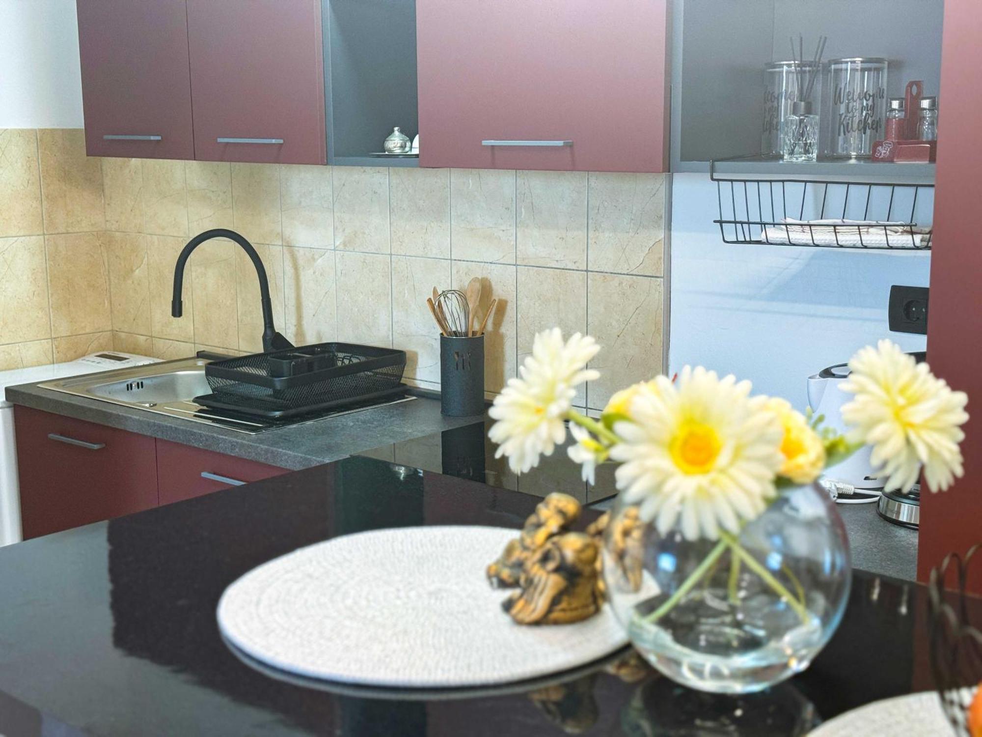 Studio Apartment Mandic ドゥブロブニク エクステリア 写真